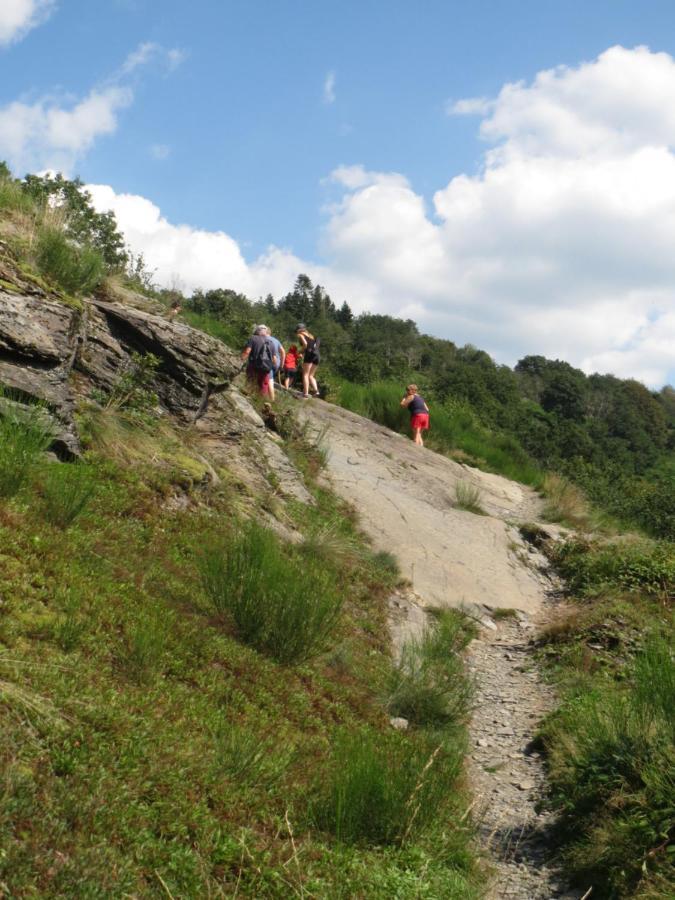 Chez Petit Gust Welkom In La Roche En Ardenne Екстериор снимка