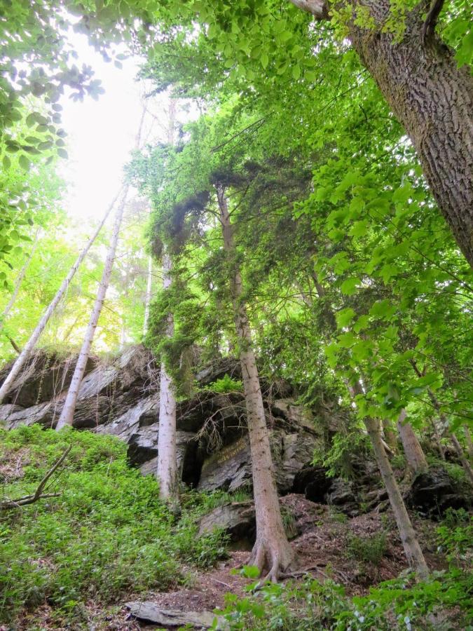 Chez Petit Gust Welkom In La Roche En Ardenne Екстериор снимка